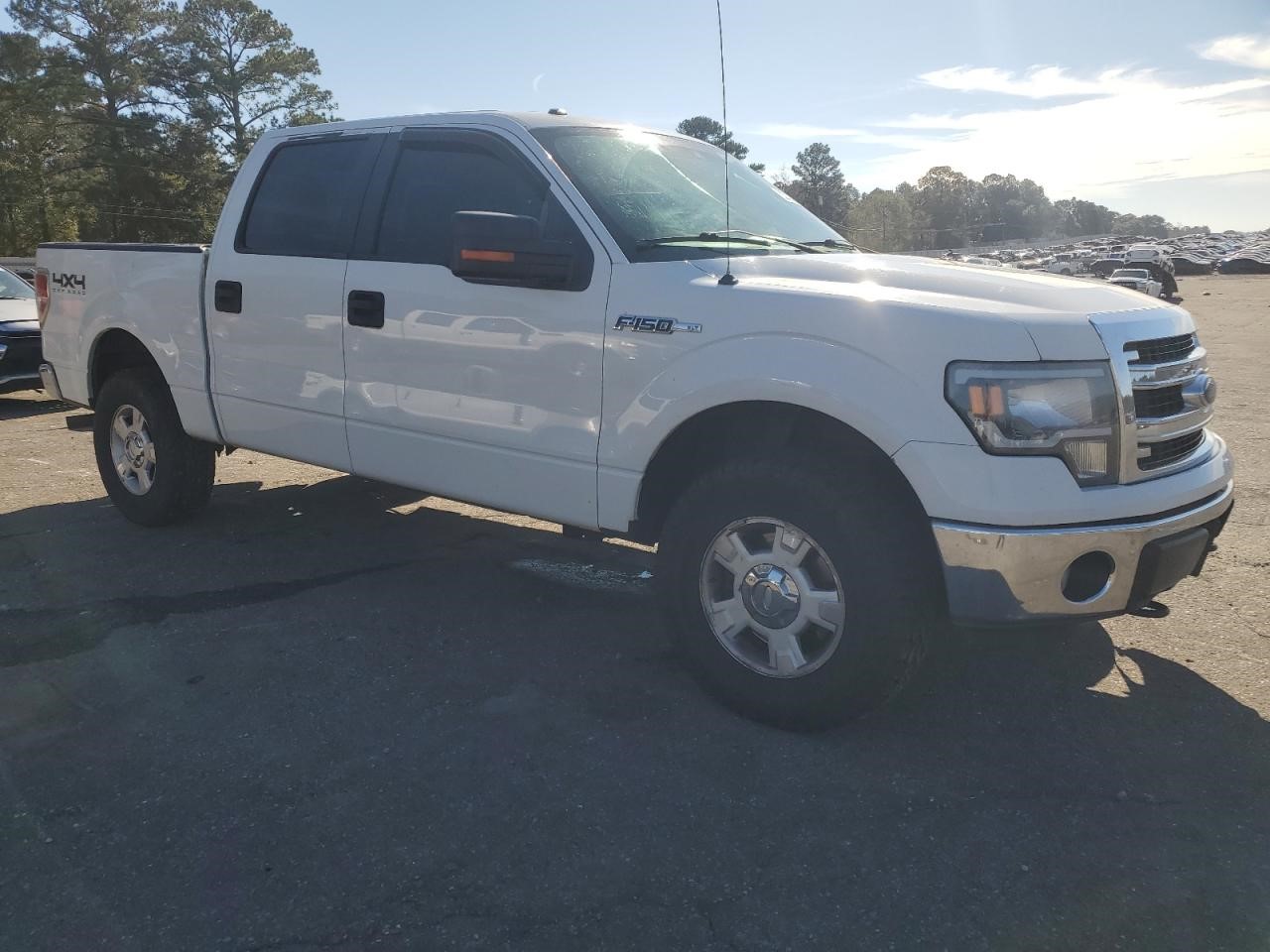 Vehicle/81981_04.jpg