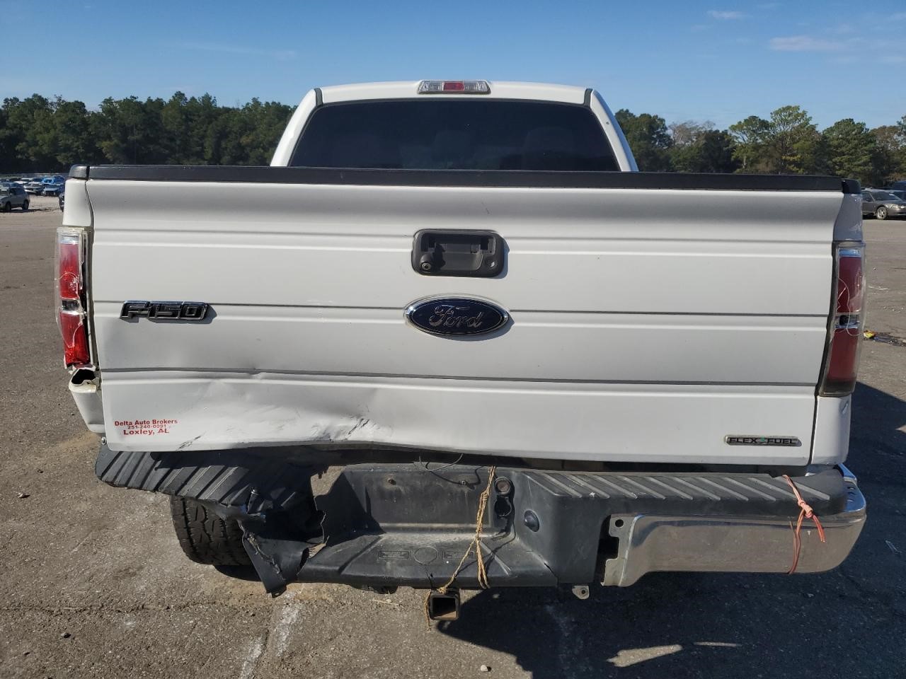 Vehicle/81981_06.jpg