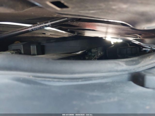 Vehicle/87563_10.jpg