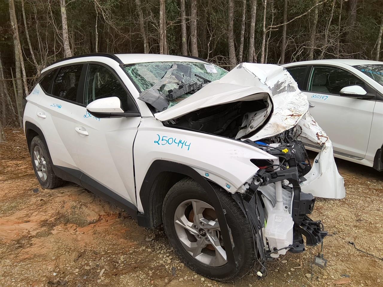 Vehicle/89130_01.jpg