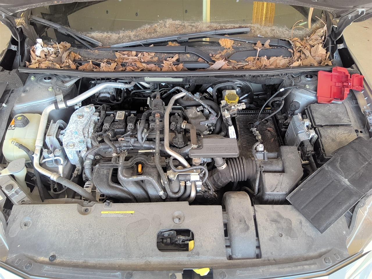 Vehicle/94874_10.jpg