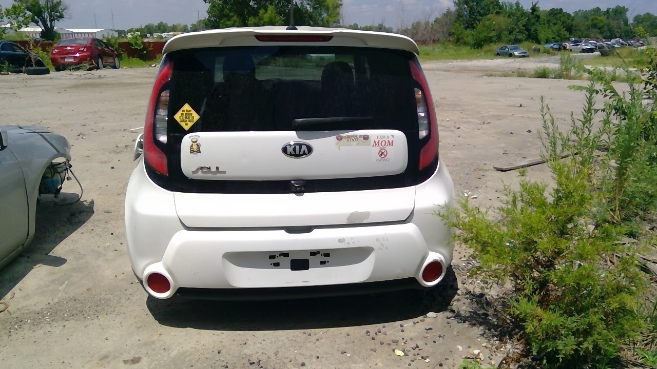 Vehicle/21442_07.jpg