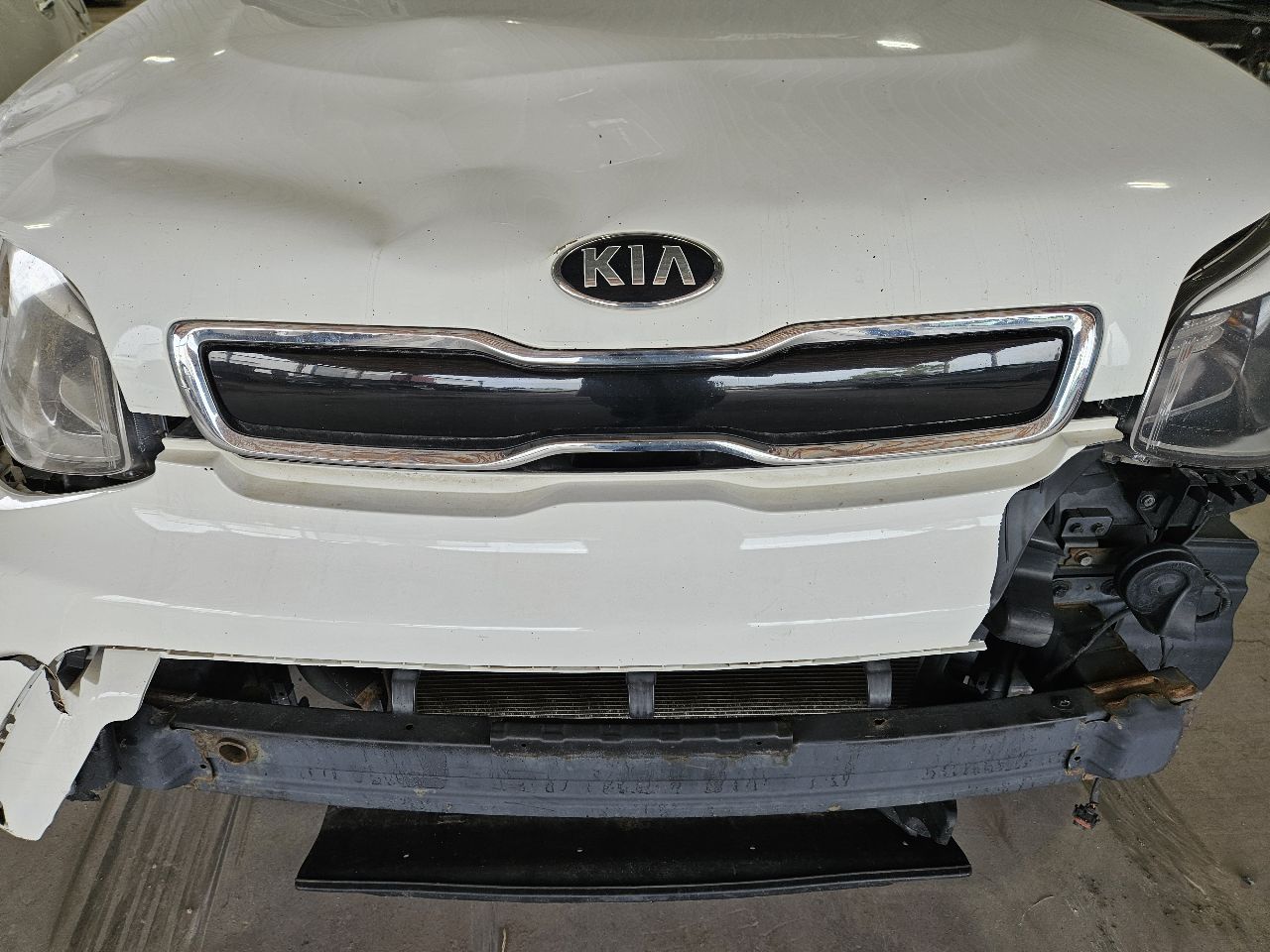 Vehicle/21509_02.jpg