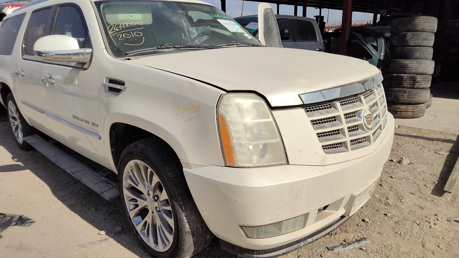 i/e/a/j/31d1088e-8935-4045-ab8e-41341dc68763.jpg