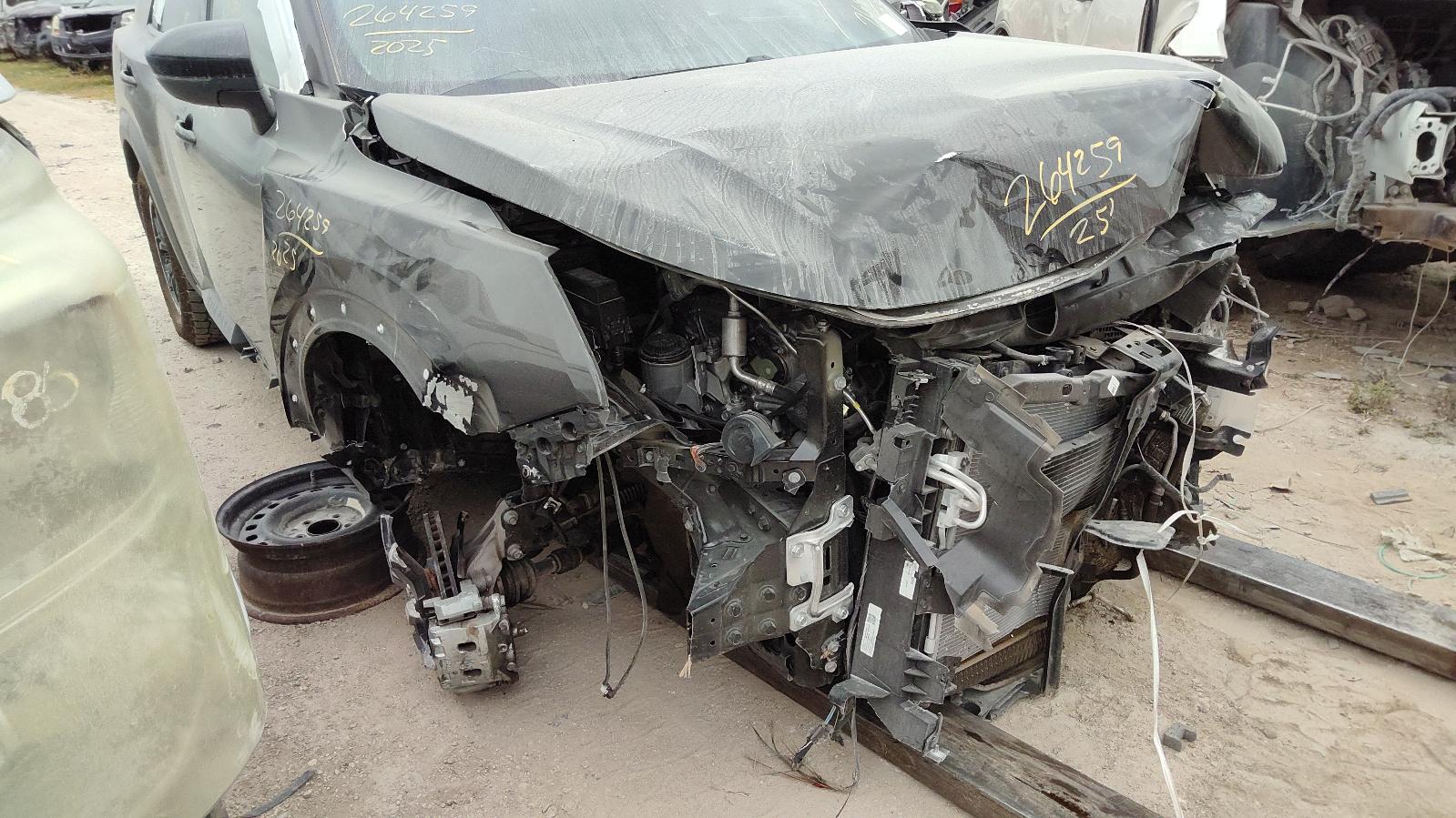 i/e/h/e/e8b6c1c9-be82-4304-8853-bef0f59942b0.jpg