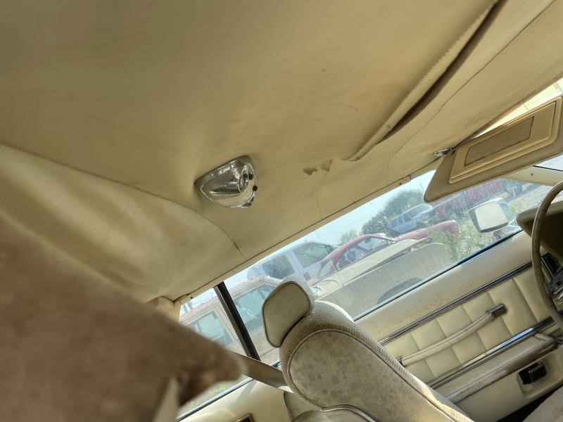 https://f005.backblazeb2.com/file/img-partshotlines-com/Inventory/EX589/Vehicle/22541_06.jpg