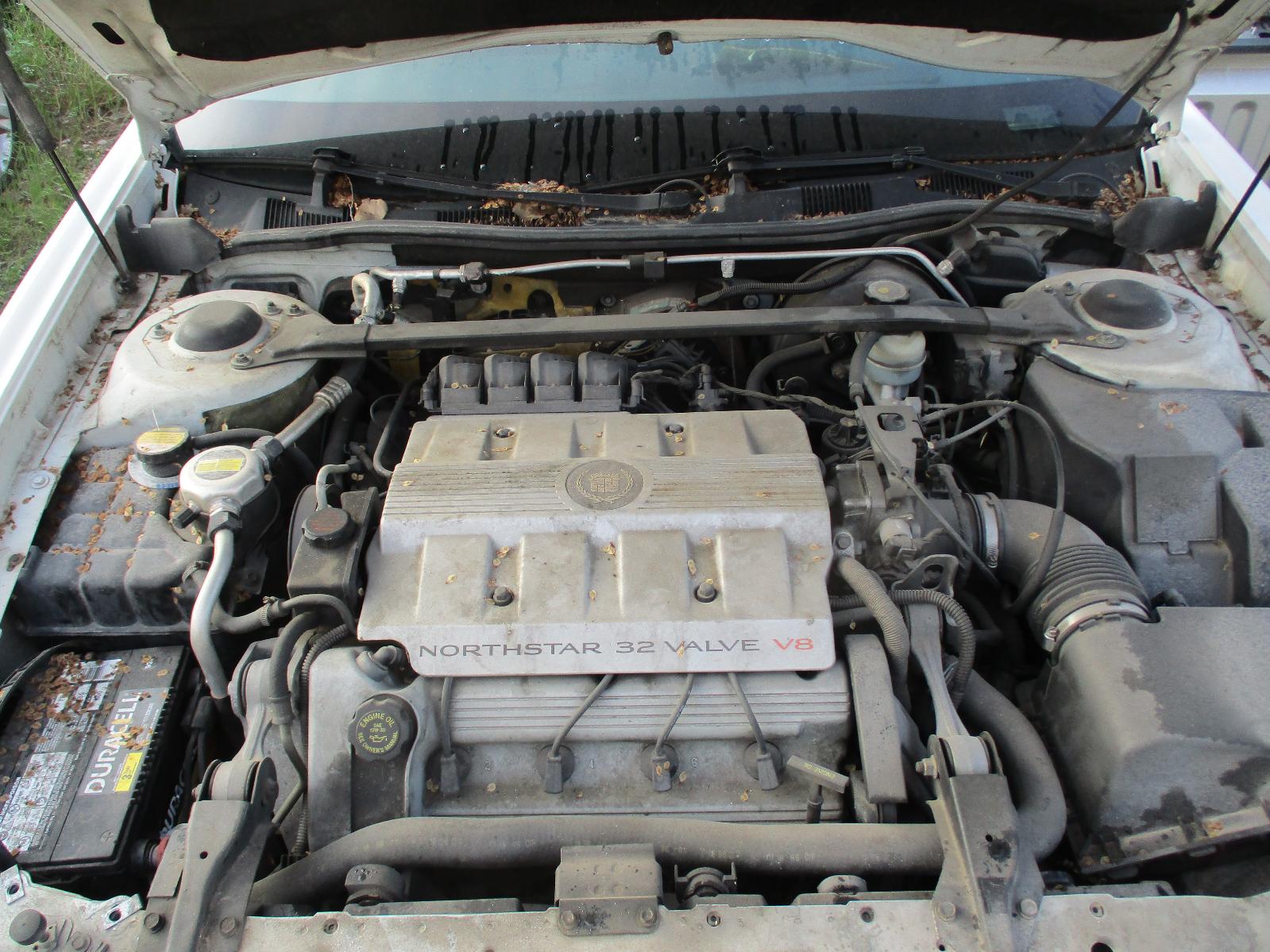 c/c/c/d/47f53d64-ab1e-45a3-b86e-08b7022aeab6.JPG