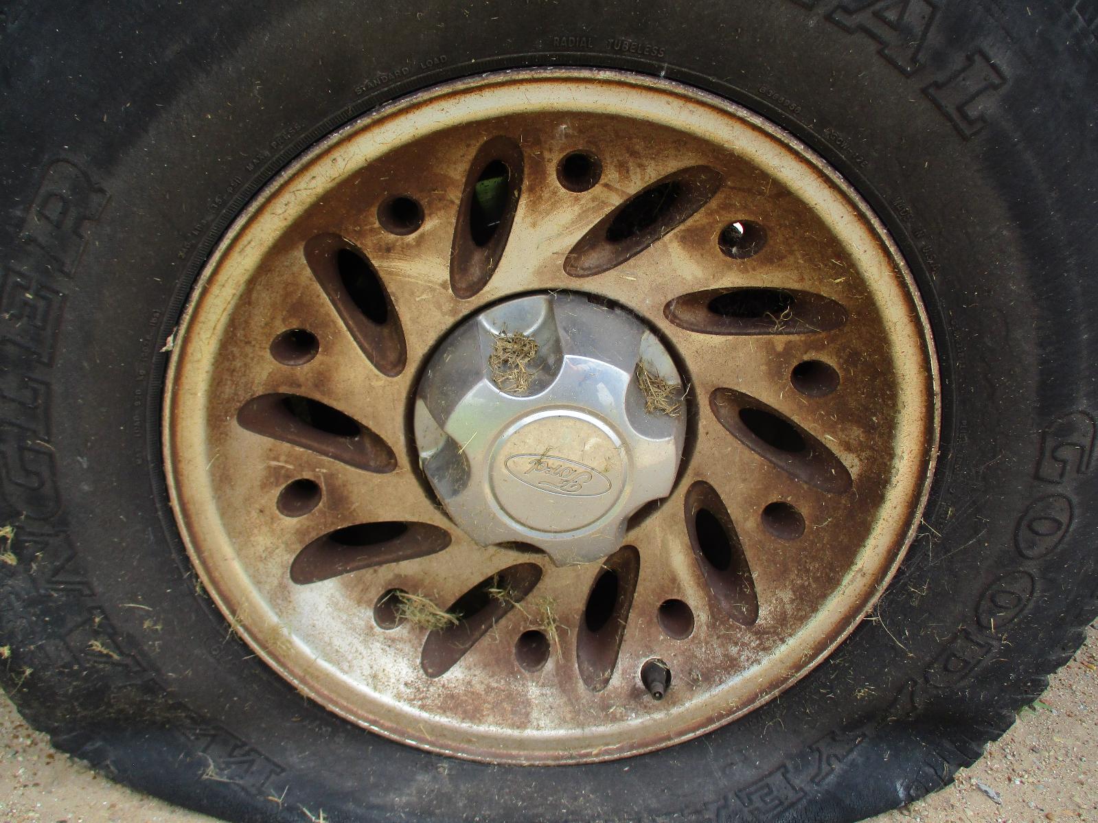 c/c/d/g/2280aa73-aa75-49fe-b59b-6e760f20f8fd.JPG