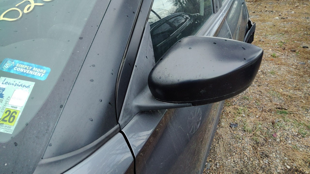 Vehicle/76303_10.jpg