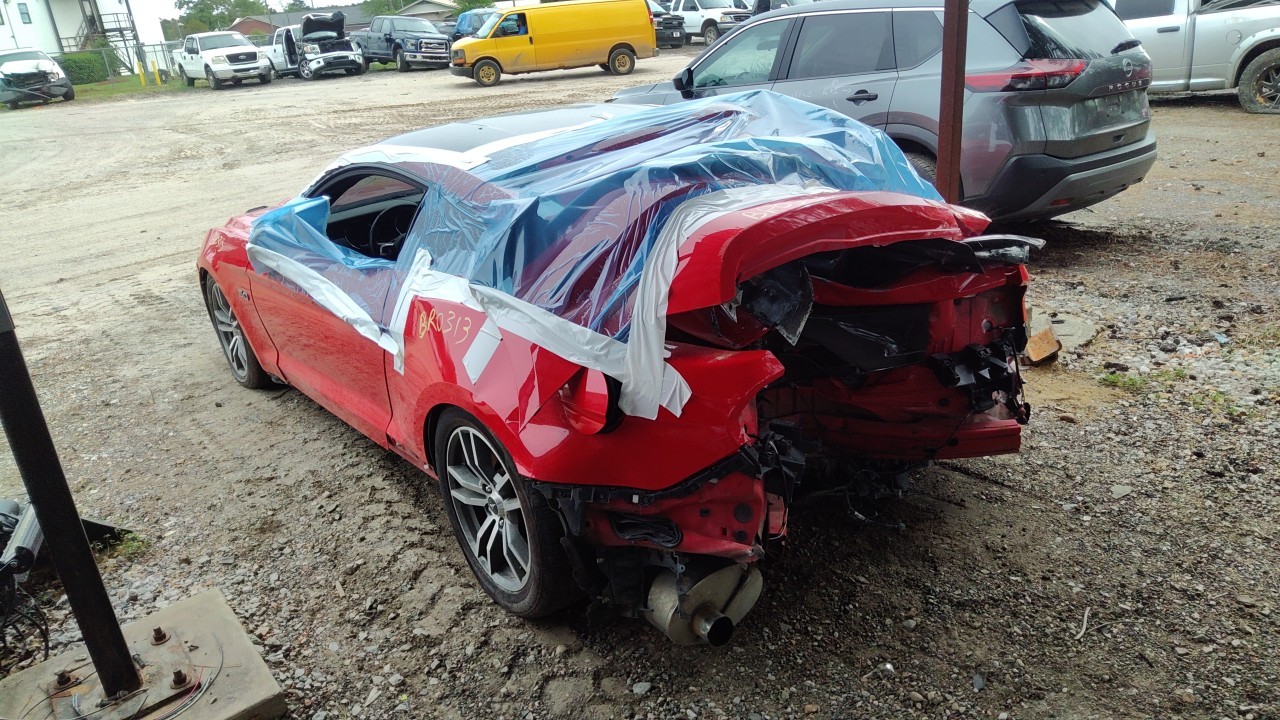 Vehicle/76819_04.jpg