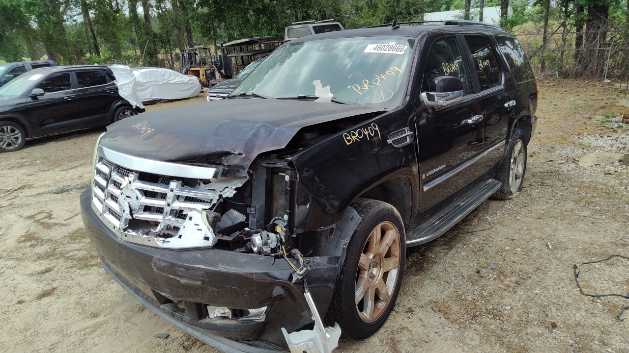 Vehicle/77478_01.jpg