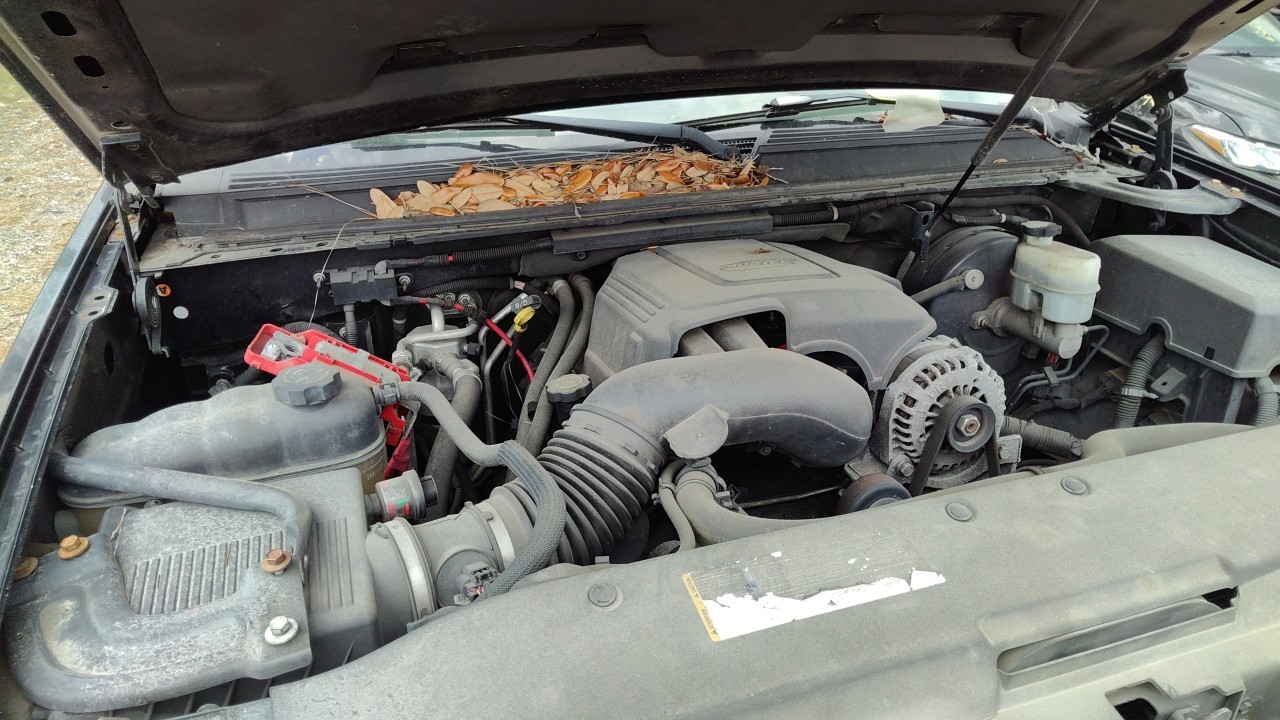 Vehicle/77478_05.jpg