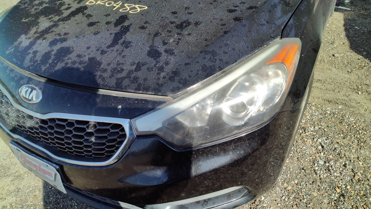 Vehicle/77865_12.jpg
