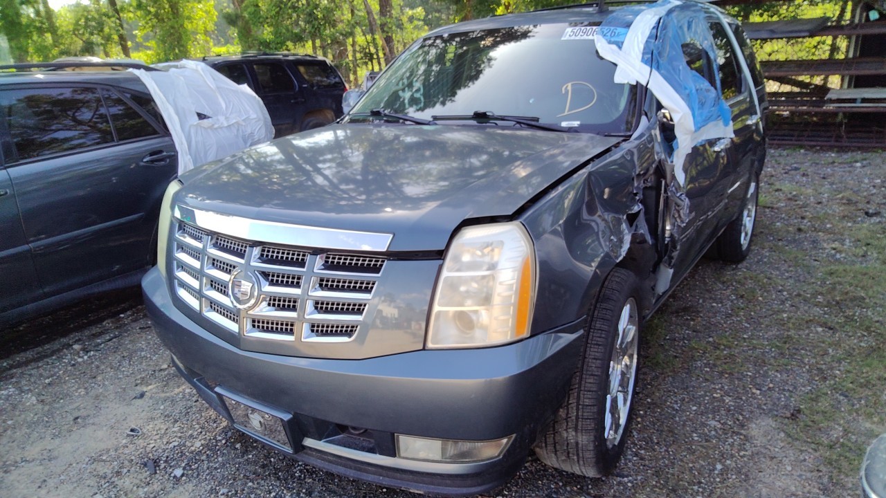 Vehicle/78240_01.jpg