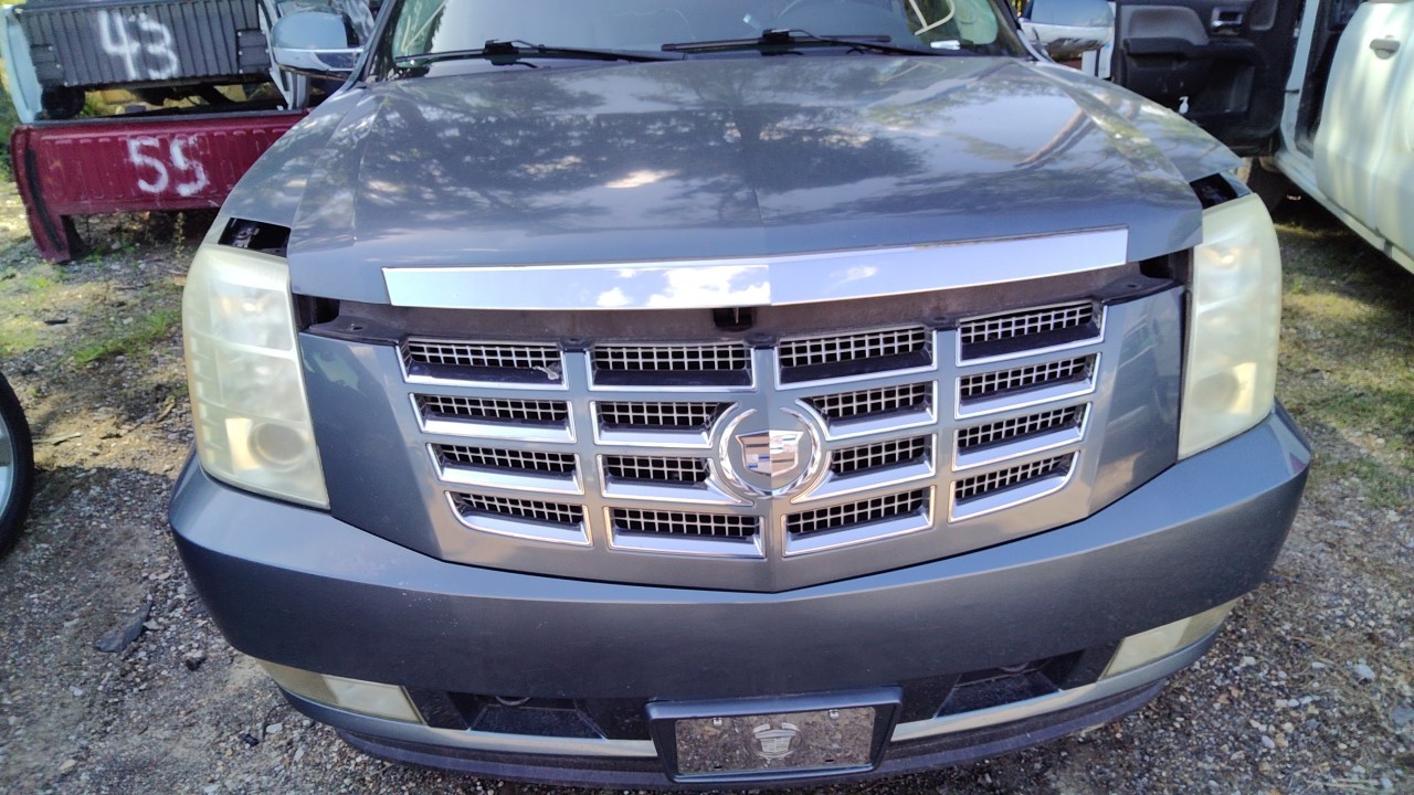 Vehicle/78240_11.jpg
