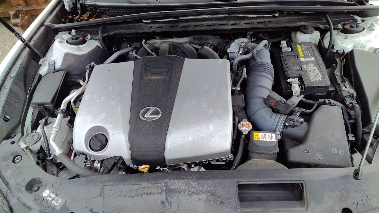 Vehicle/78539_05.jpg