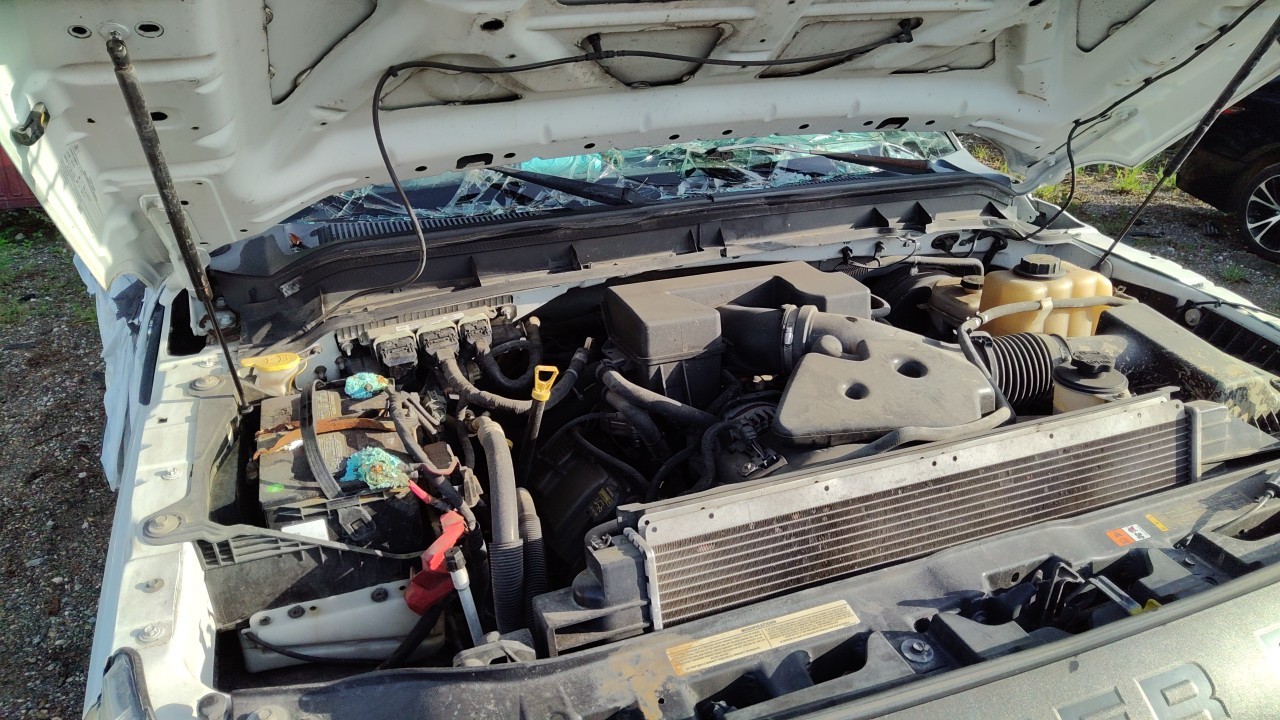 Vehicle/78697_05.jpg