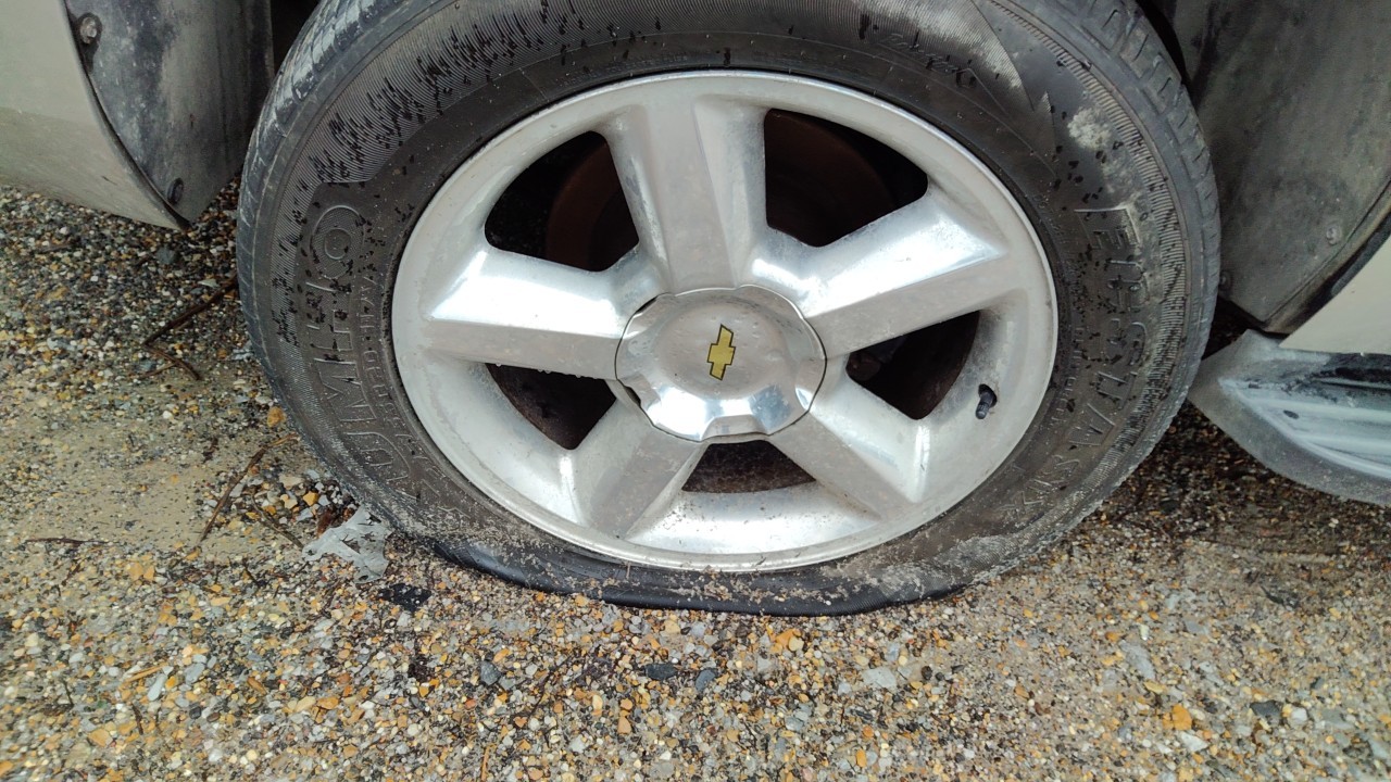 Vehicle/78698_06.jpg