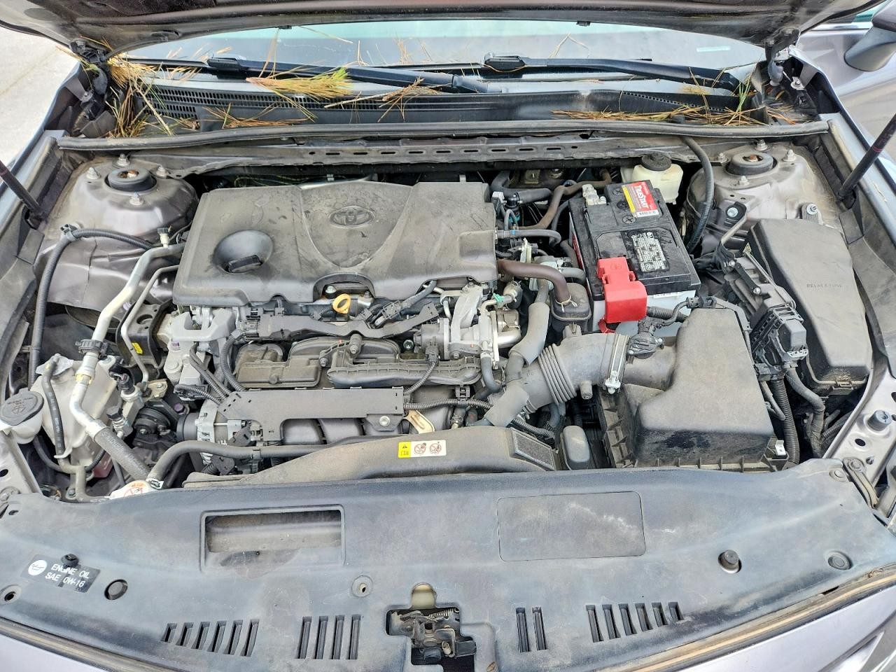 Vehicle/78985_11.jpg