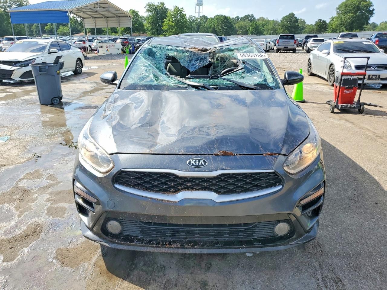 Vehicle/79175_05.jpg