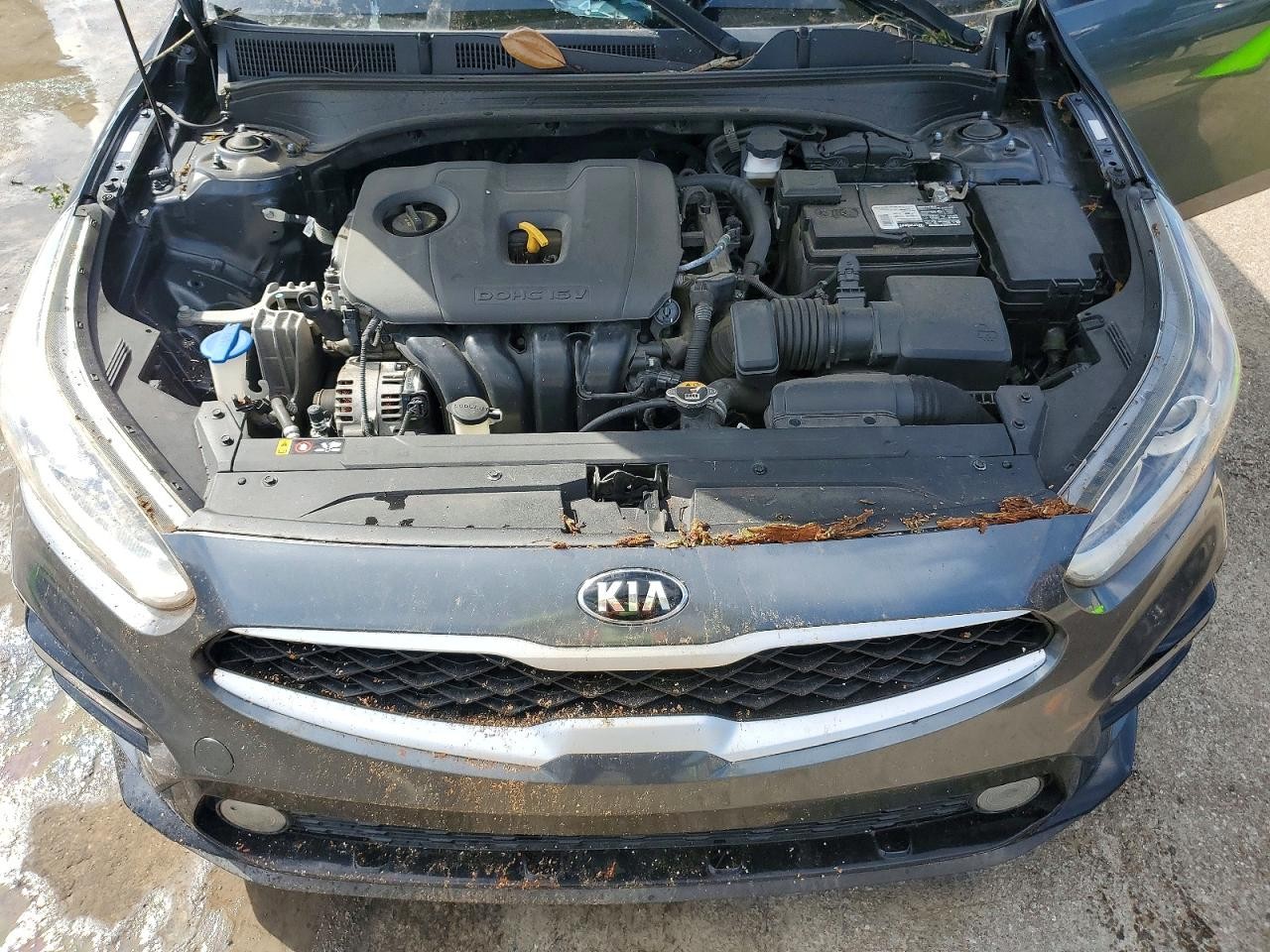 Vehicle/79175_11.jpg