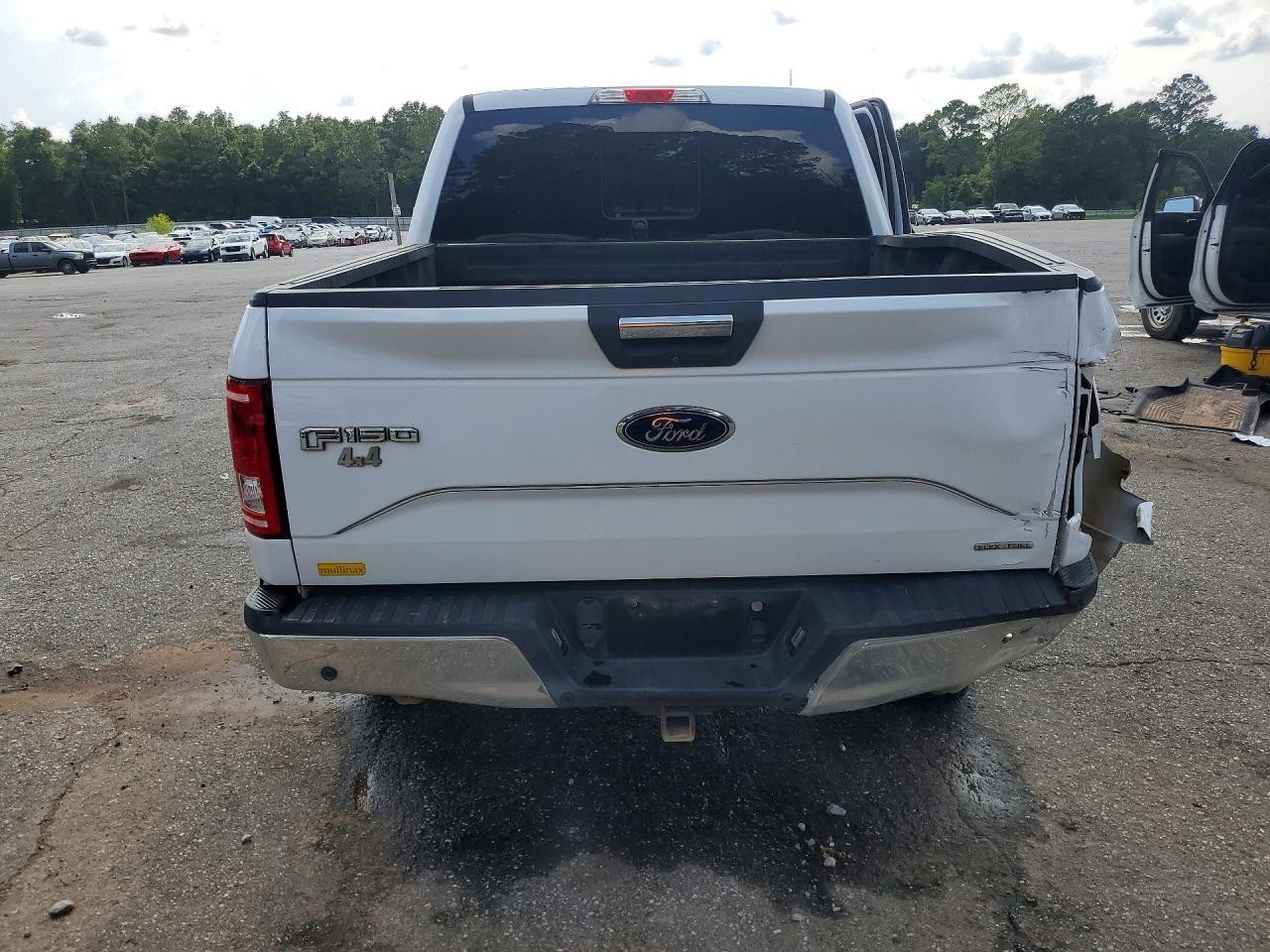 Vehicle/79700_06.jpg