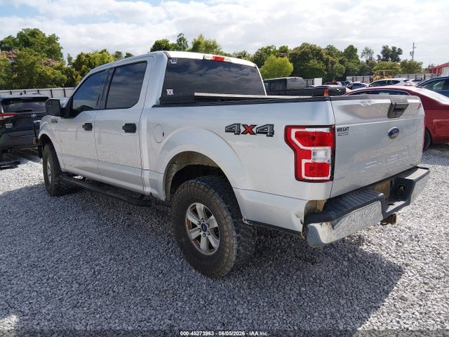 Vehicle/79797_03.jpg