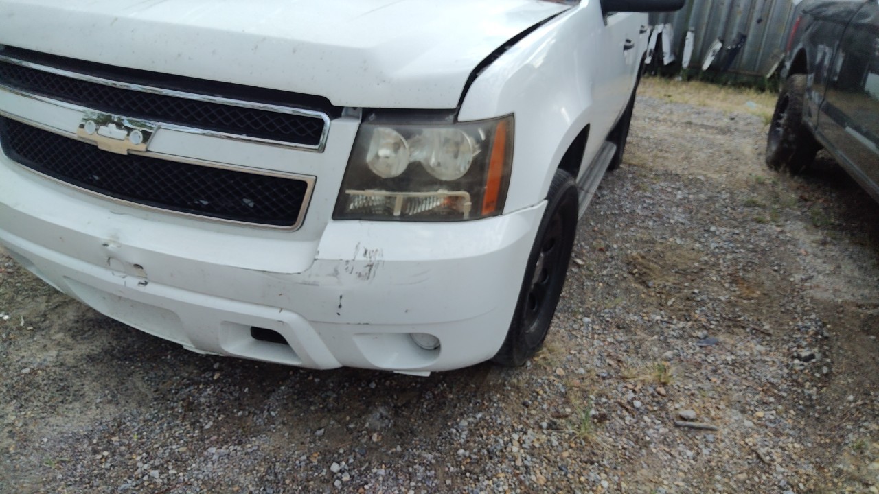Vehicle/79947_10.jpg