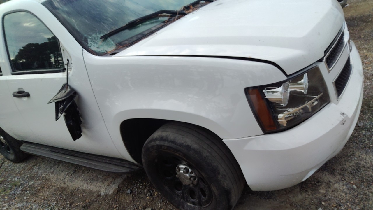 Vehicle/79947_12.jpg