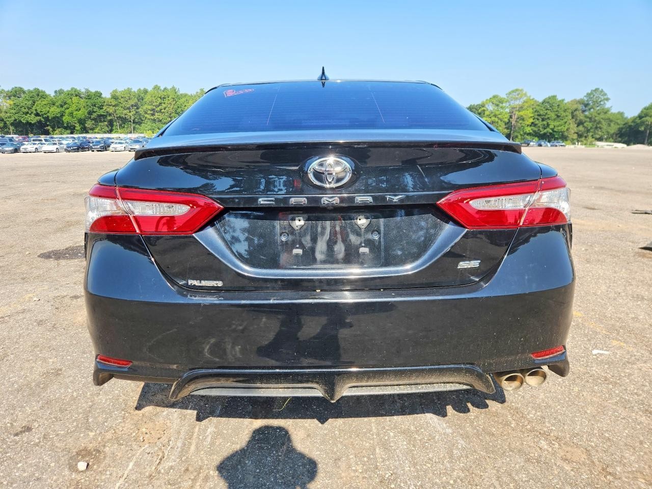 Vehicle/80002_06.jpg