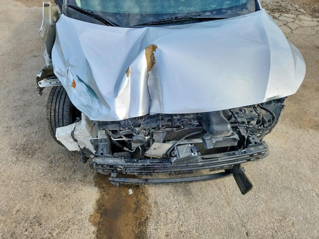 Vehicle/80110_11.jpg
