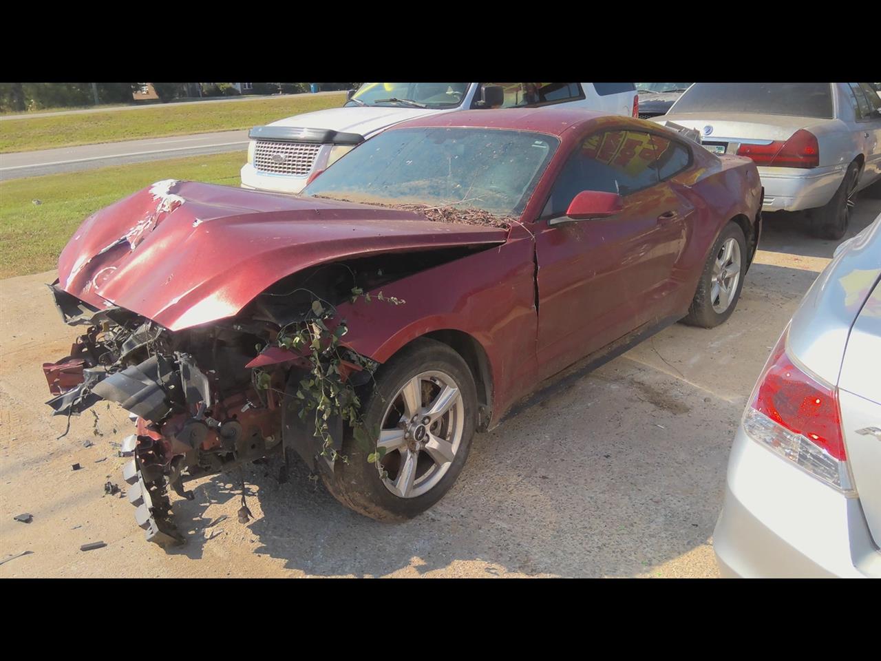 https://f005.backblazeb2.com/file/img-partshotlines-com/Inventory/EX619/Vehicle/25132_12.jpg
