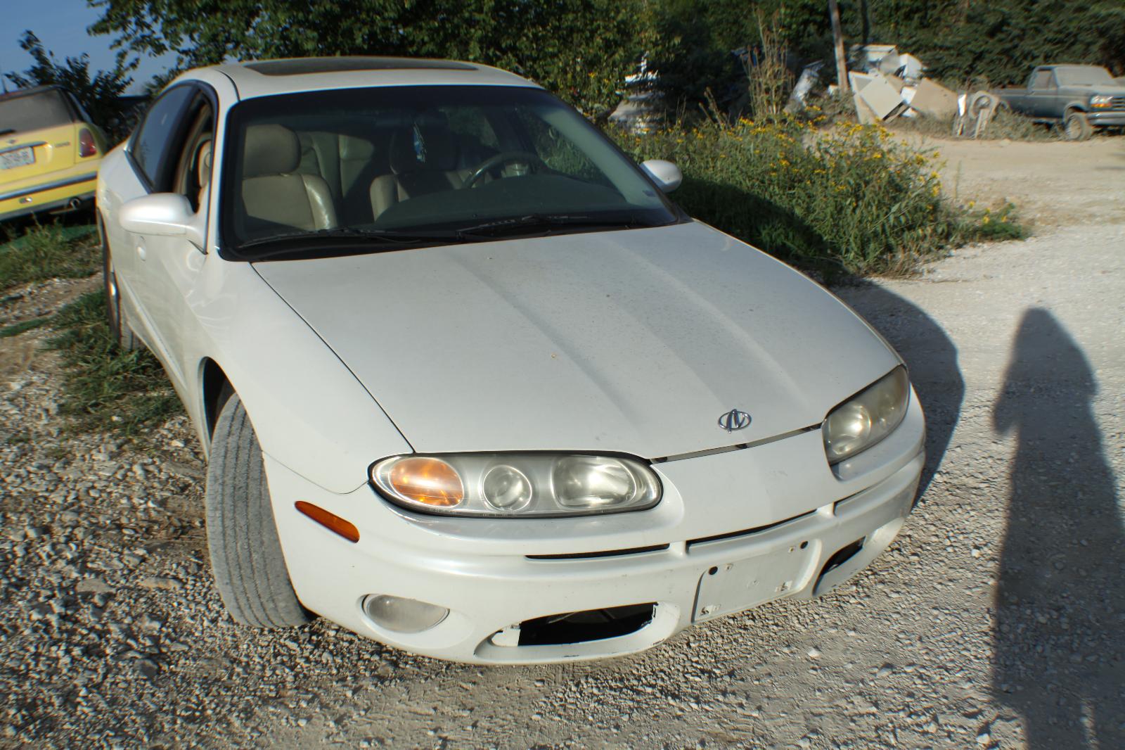 b/a/d/e/h/8bfd00b9-f0d9-47ed-84ce-1020d7ec3b86.JPG
