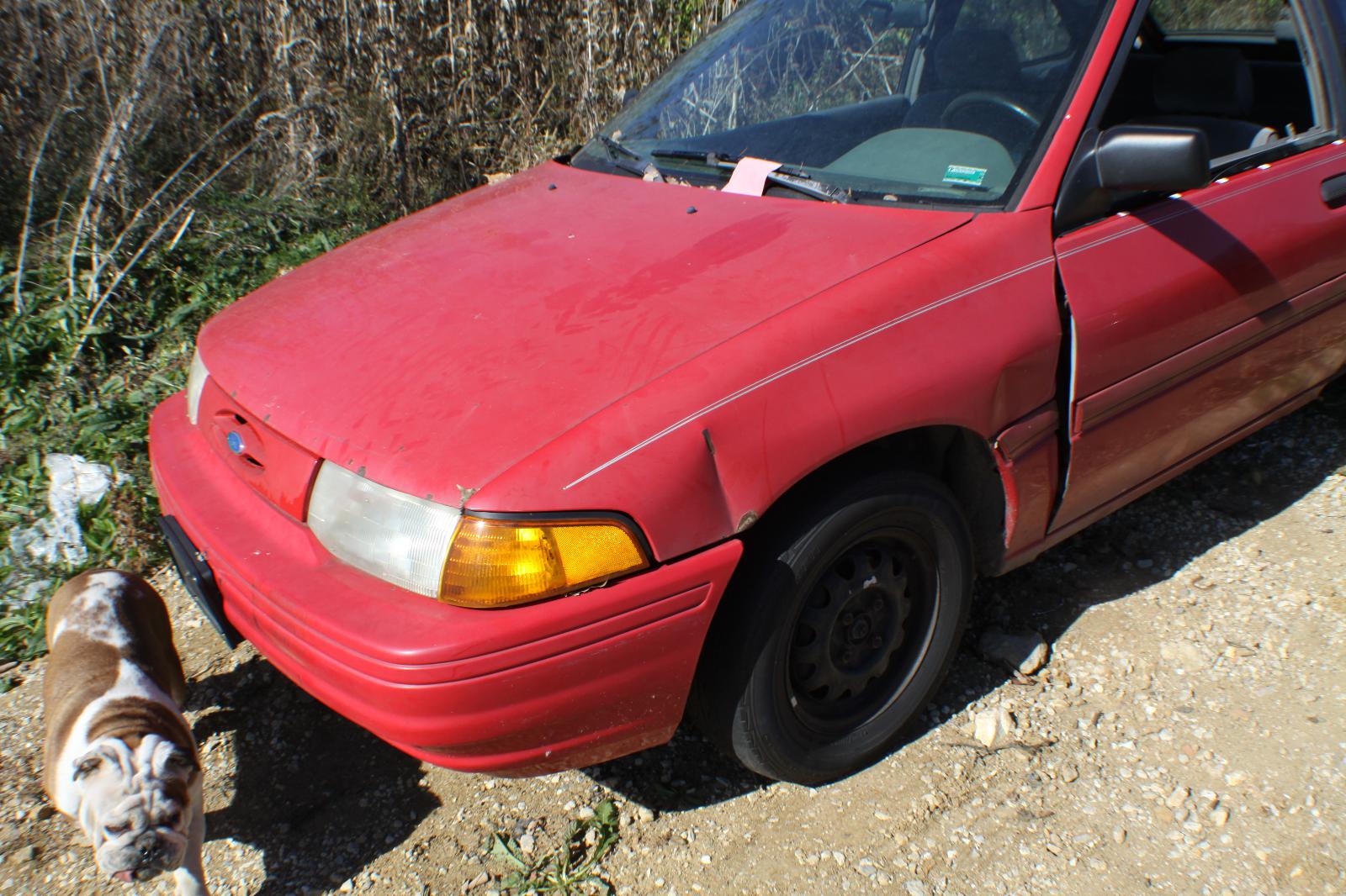 b/a/e/a/h/84237d07-373e-4895-b4e6-b59c324a9d23.JPG