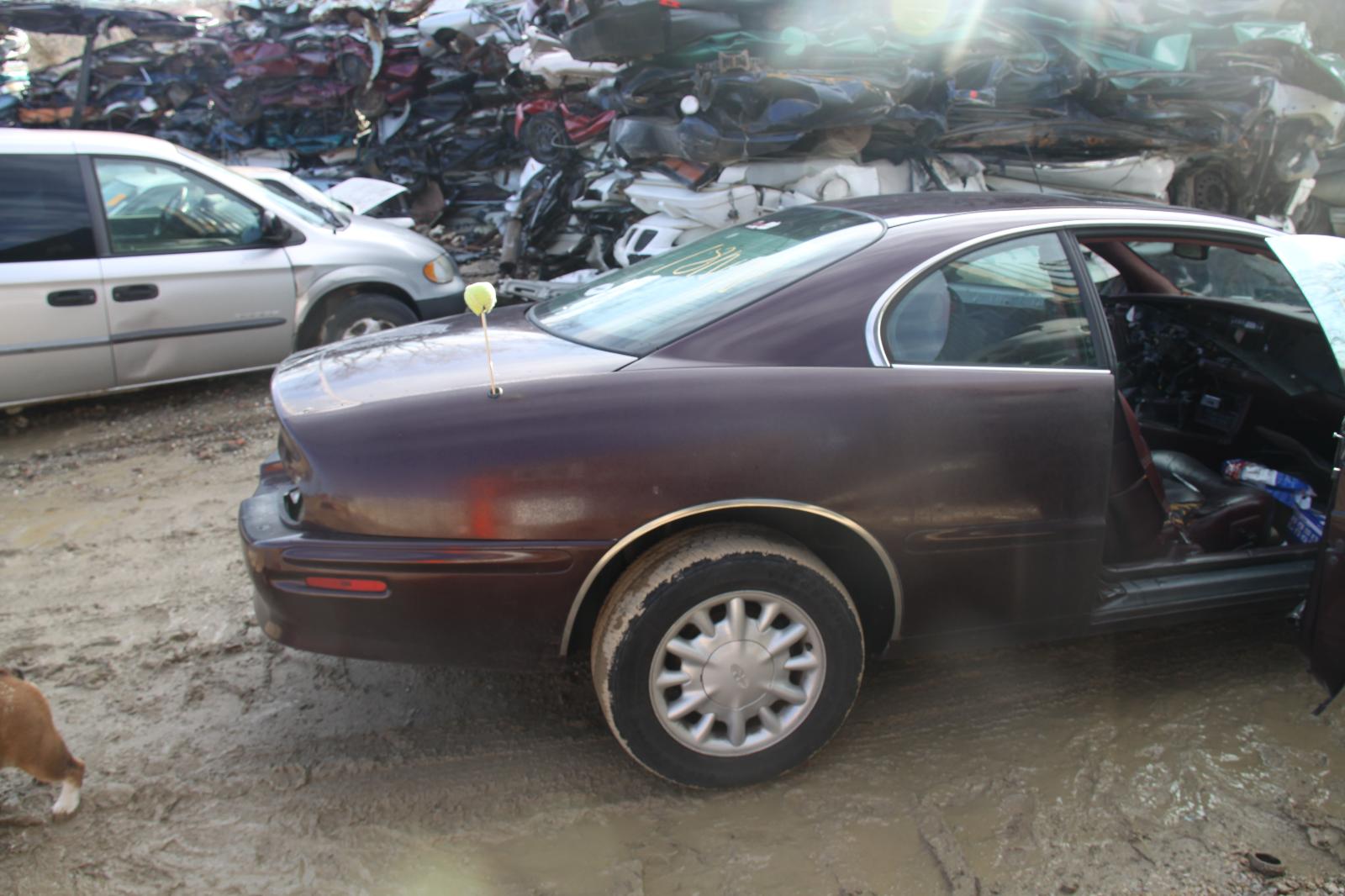 b/b/i/h/i/4013a3de-2a43-4337-bed5-22cd9668d703.JPG