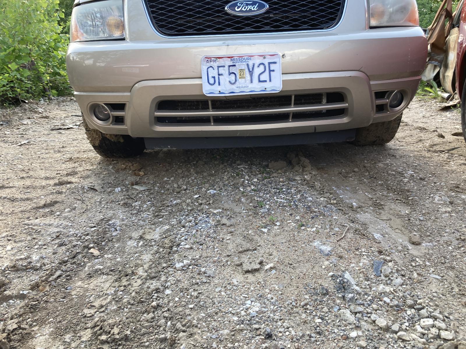 b/e/i/i/d/59583e88-4da5-4229-97a8-9a08f6b64808.JPG