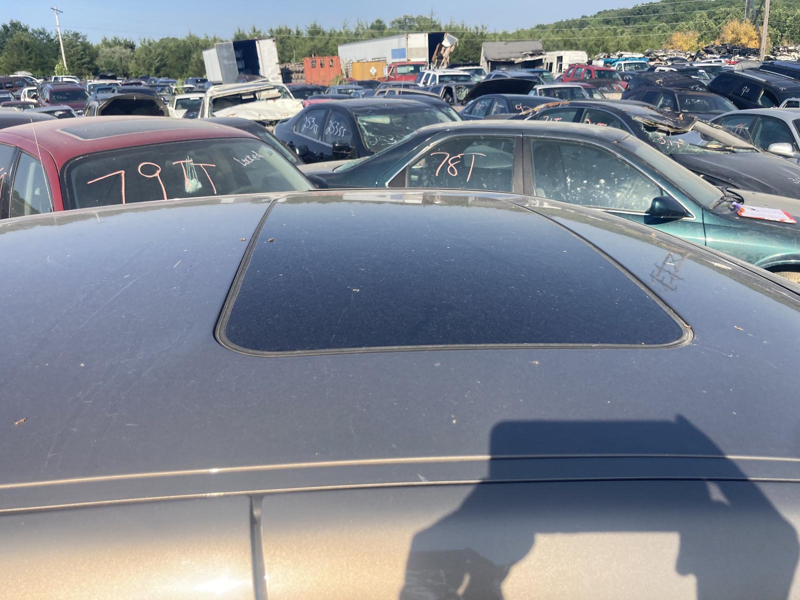 b/e/j/f/a/3ab65c94-f6f2-4322-8ab0-376f2ddbb3ef.JPG