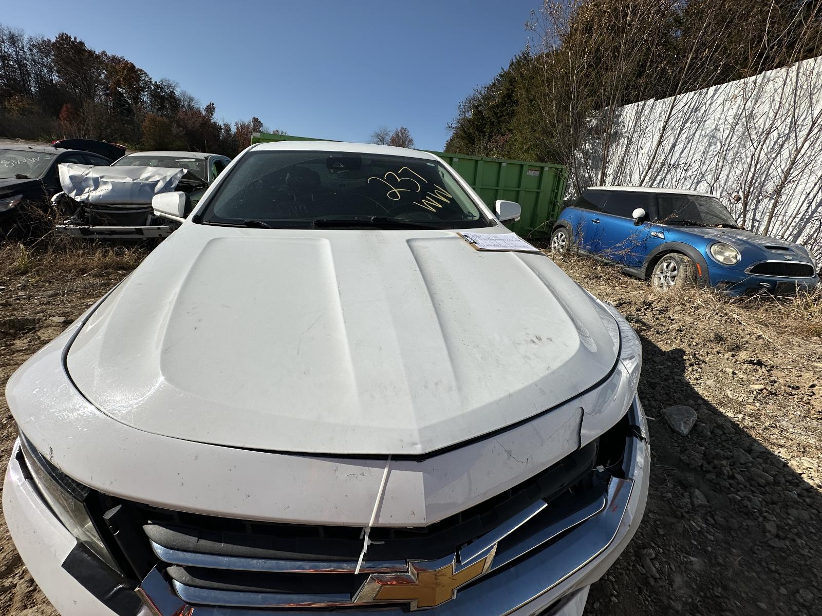 b/g/f/j/f/3416bd14-a19f-4b95-8e99-610ac4fcf769.JPG