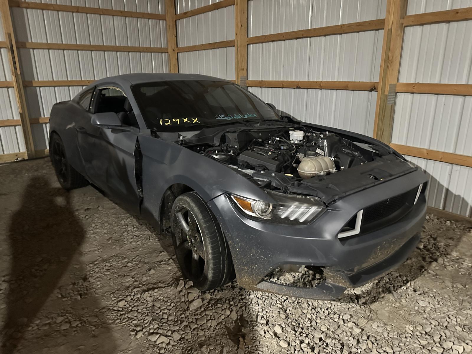 b/g/i/g/i/701e248f-e18d-4e24-ba02-d38317ef3945.JPG