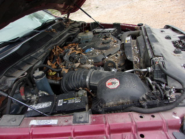 https://f005.backblazeb2.com/file/img-partshotlines-com/Inventory/EX739/Vehicle/37557_03.jpg