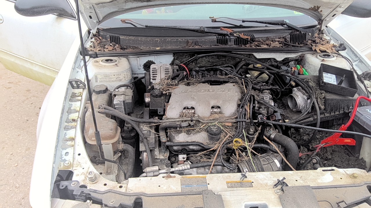 https://f005.backblazeb2.com/file/img-partshotlines-com/Inventory/EX831/Vehicle/13676_01.jpg