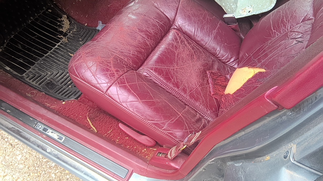 https://f005.backblazeb2.com/file/img-partshotlines-com/Inventory/EX831/Vehicle/15140_04.jpg