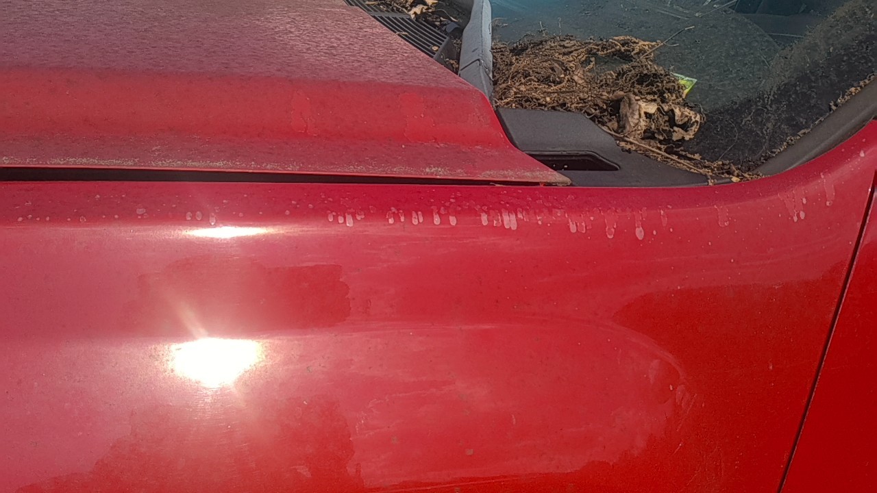 https://f005.backblazeb2.com/file/img-partshotlines-com/Inventory/EX831/Vehicle/15192_06.jpg