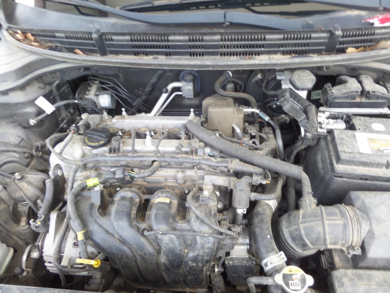 https://f005.backblazeb2.com/file/img-partshotlines-com/Inventory/EX865/Vehicle/17197_06.jpg