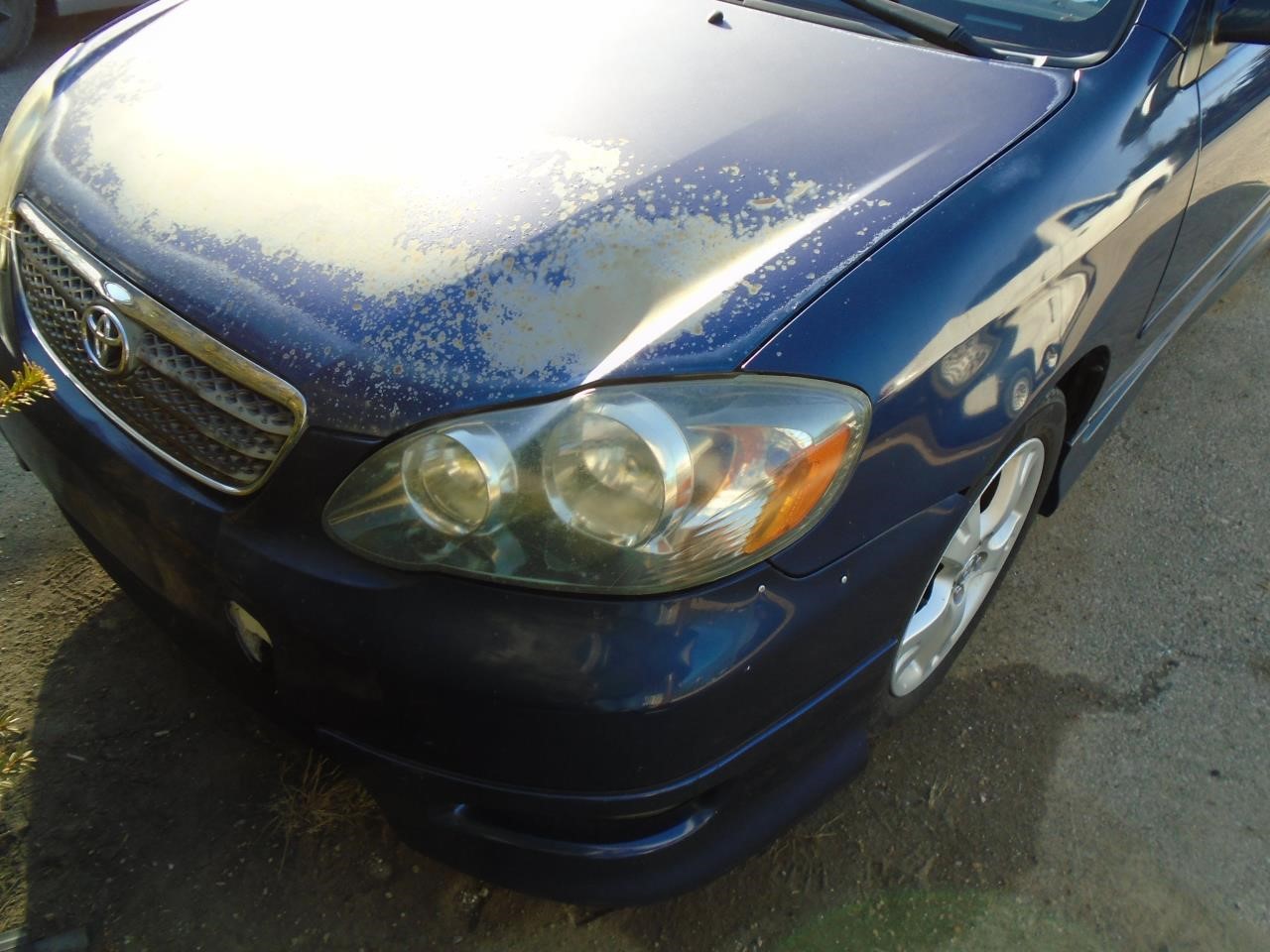 https://f005.backblazeb2.com/file/img-partshotlines-com/Inventory/EX871/Vehicle/3185_01.jpg