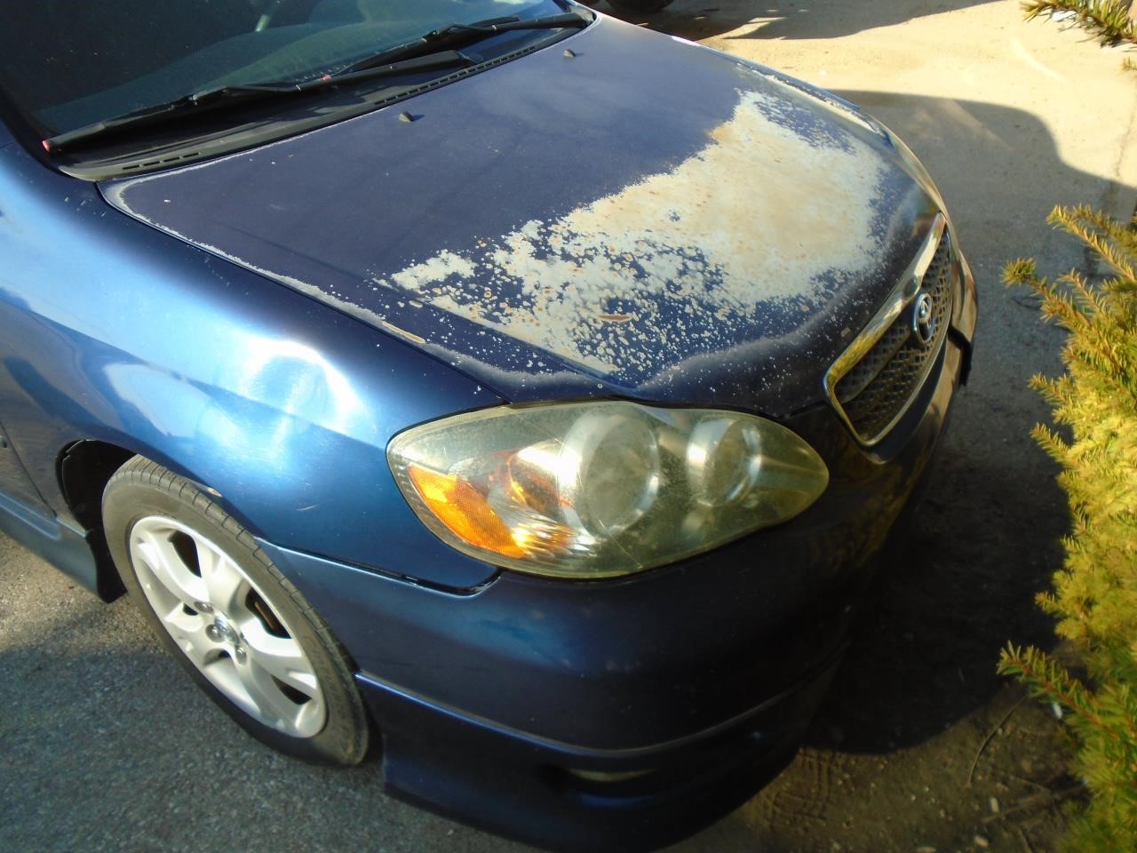 https://f005.backblazeb2.com/file/img-partshotlines-com/Inventory/EX871/Vehicle/3185_02.jpg