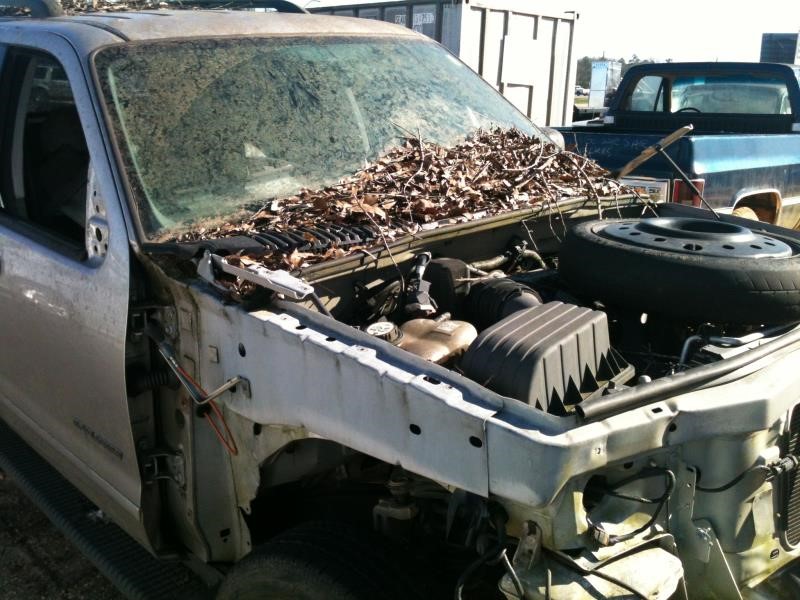 https://f005.backblazeb2.com/file/img-partshotlines-com/Inventory/EX890/Vehicle/8414_05.jpg