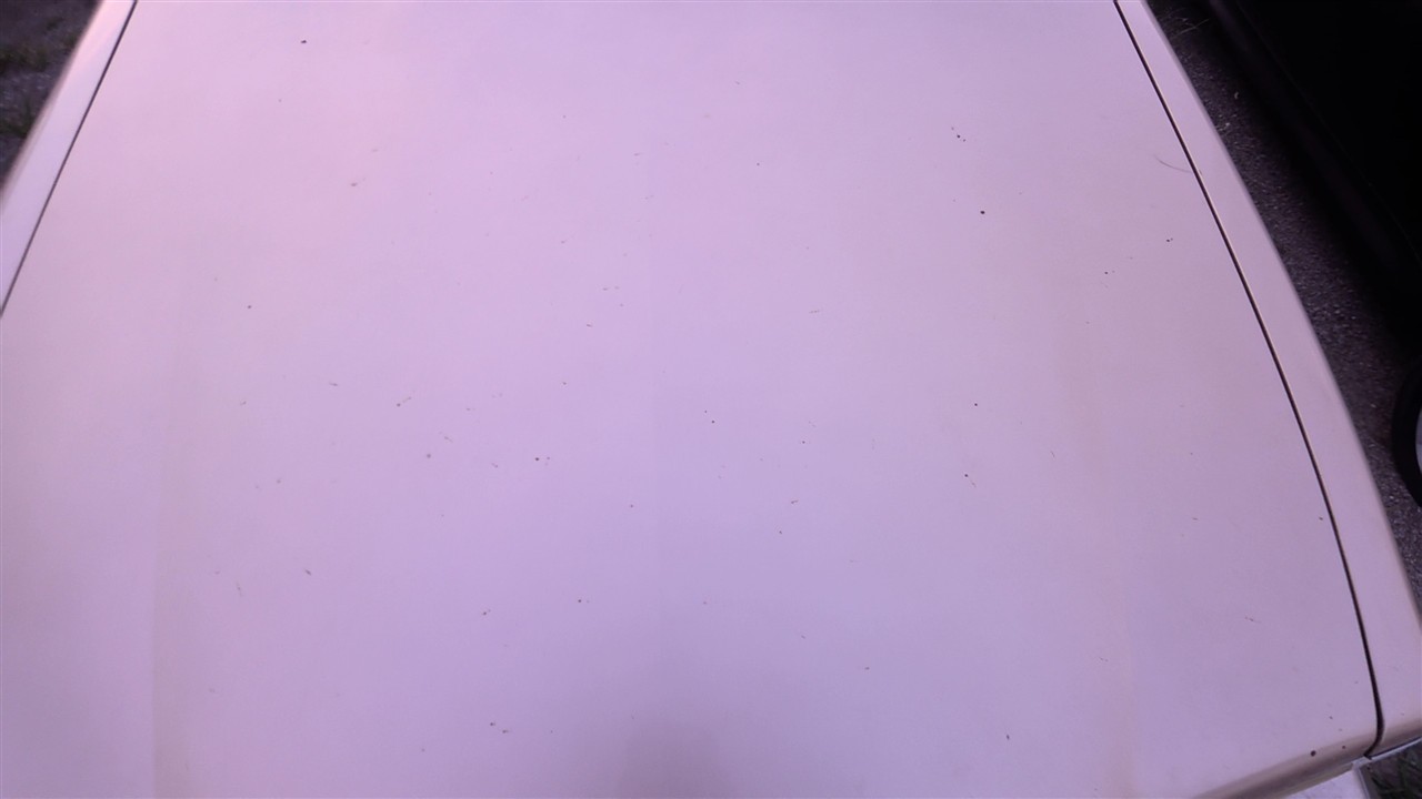 https://f005.backblazeb2.com/file/img-partshotlines-com/Inventory/EX921/Inventory/600619_02.jpg