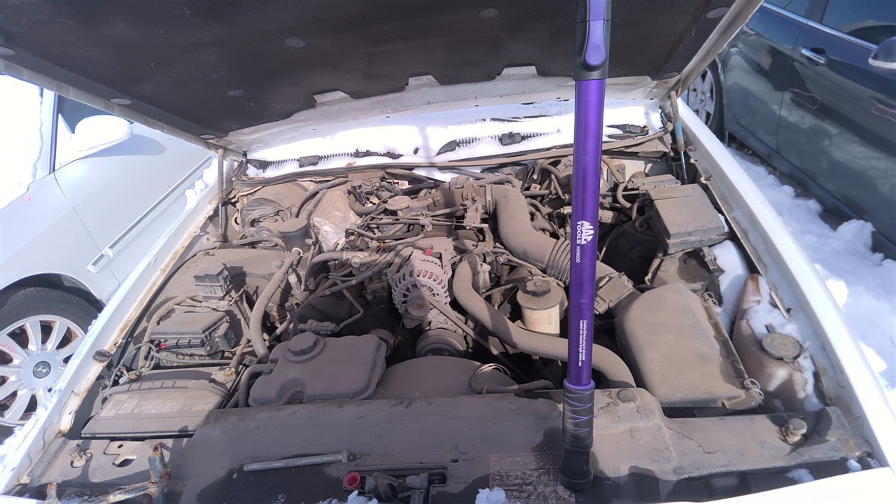 https://f005.backblazeb2.com/file/img-partshotlines-com/Inventory/EX921/Vehicle/7313_07.jpg