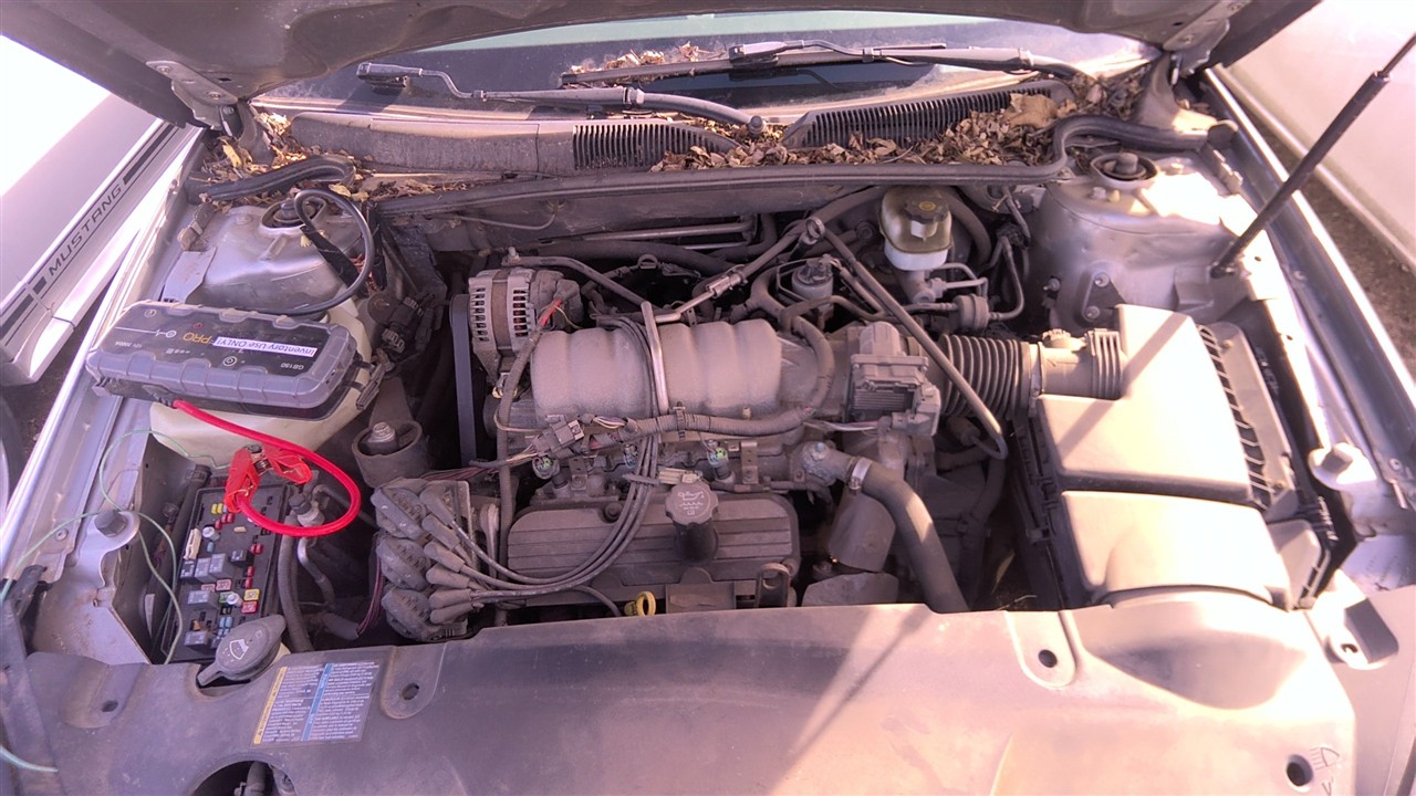 https://f005.backblazeb2.com/file/img-partshotlines-com/Inventory/EX921/Vehicle/7961_01.jpg